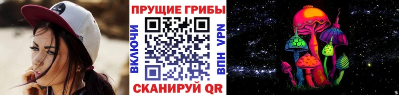 Купить  Мостовской  Галлюциногенные грибы мухоморы 